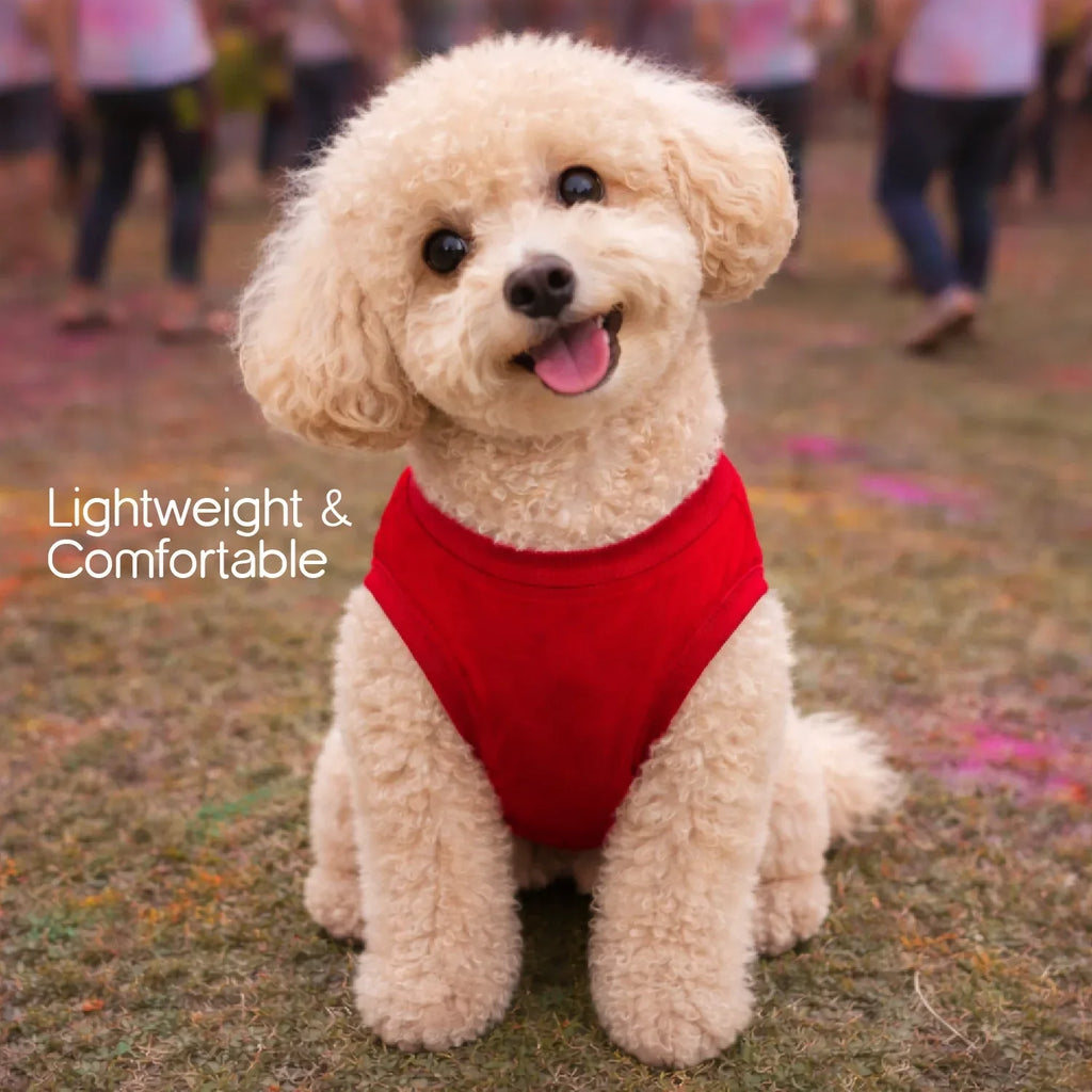 RangReady Tee – Holi Cotton Hosiery Blend T-Shirt for Pets