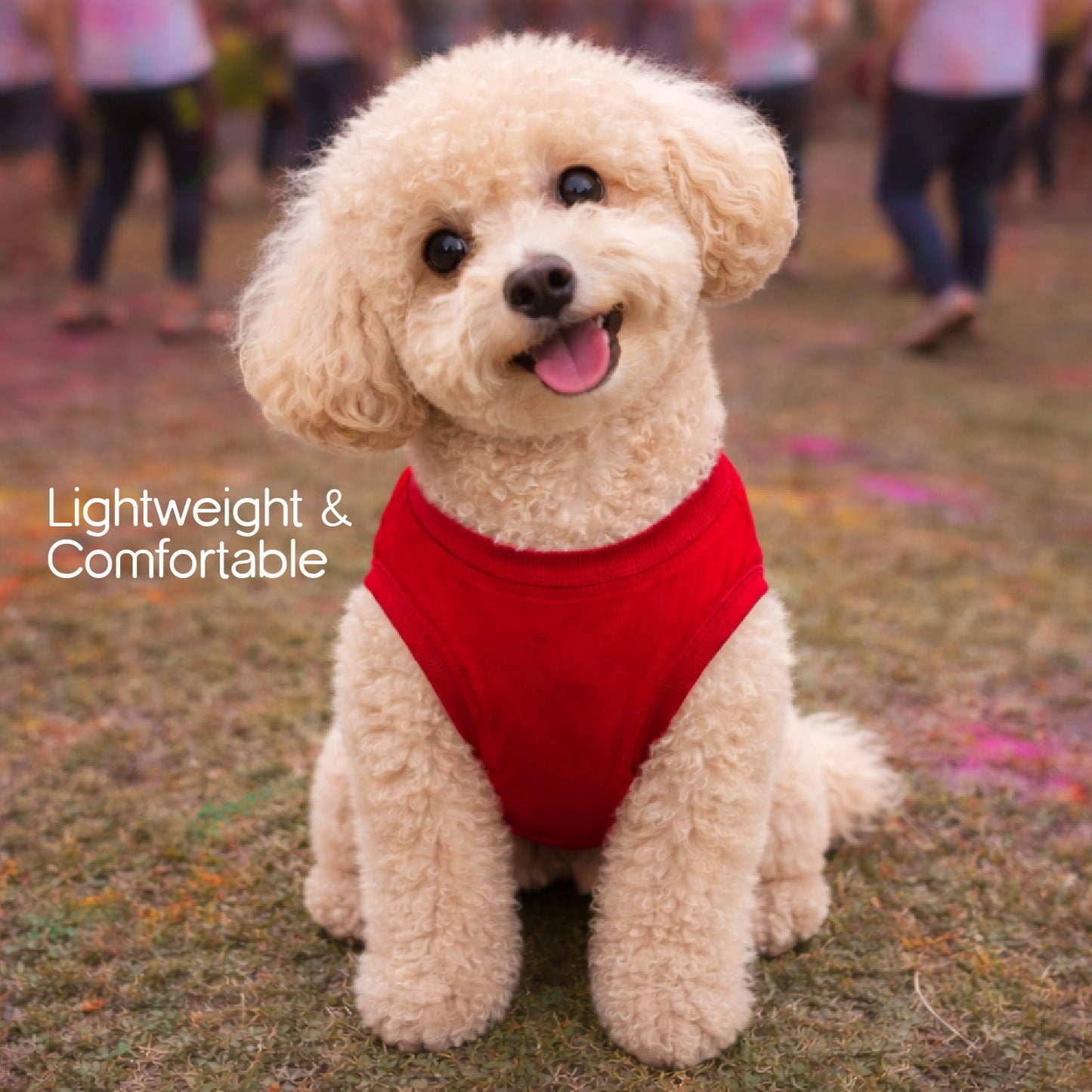 RangReady Tee – Holi Cotton Hosiery Blend T-Shirt for Pets