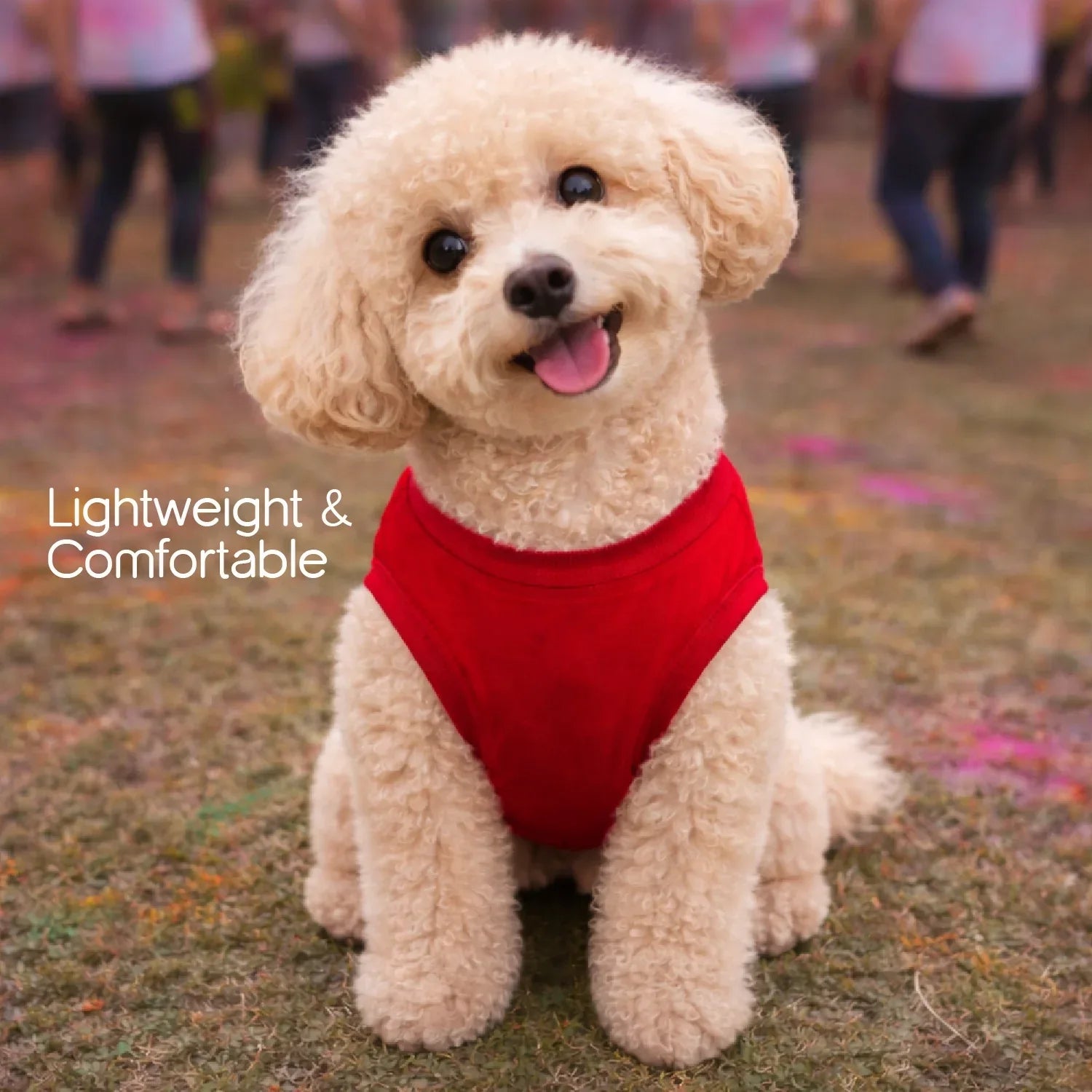 RangReady Tee – Holi Cotton Hosiery Blend T-Shirt for Pets