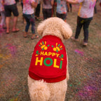 RangReady Tee – Holi Cotton Hosiery Blend T-Shirt for Pets