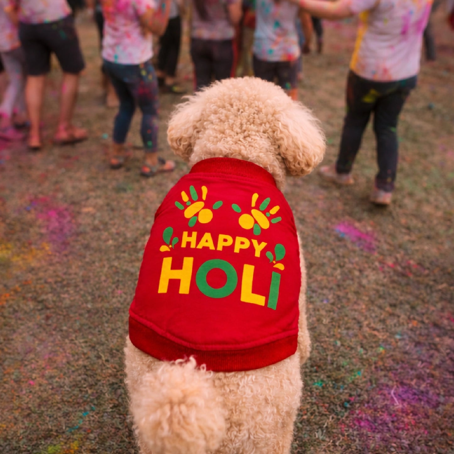 RangReady Tee – Holi Cotton Hosiery Blend T-Shirt for Pets