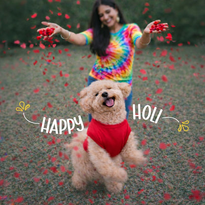 RangReady Tee – Holi Cotton Hosiery Blend T-Shirt for Pets