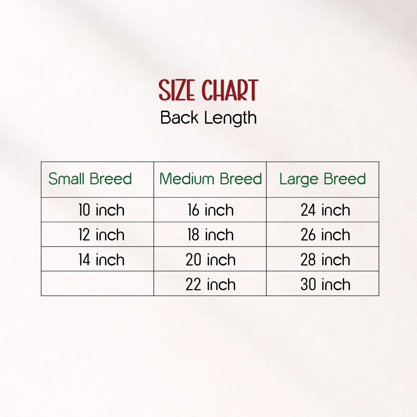 RangReady Tee – Holi Cotton Hosiery Blend T-Shirt for Pets