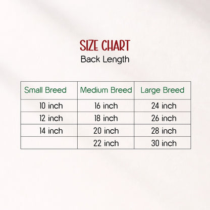 RangReady Tee – Holi Cotton Hosiery Blend T-Shirt for Pets