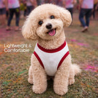 RangReady Tee – Holi Cotton Hosiery Blend T-Shirt for Pets