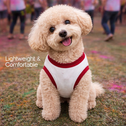 RangReady Tee – Holi Cotton Hosiery Blend T-Shirt for Pets