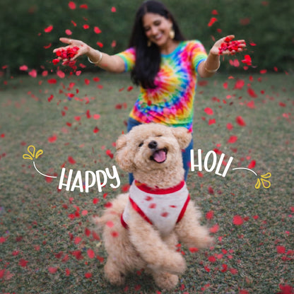 RangReady Tee – Holi Cotton Hosiery Blend T-Shirt for Pets