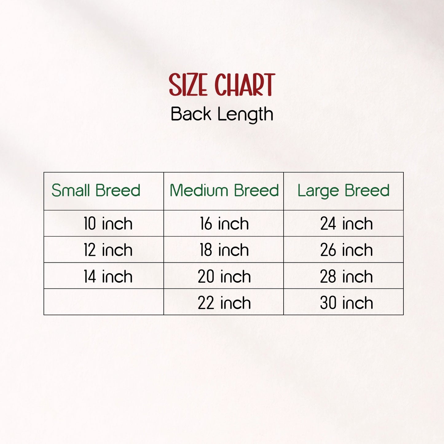 RangReady Tee – Holi Cotton Hosiery Blend T-Shirt for Pets