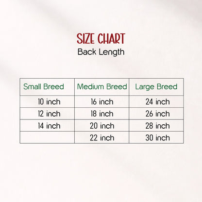 RangReady Tee – Holi Cotton Hosiery Blend T-Shirt for Pets