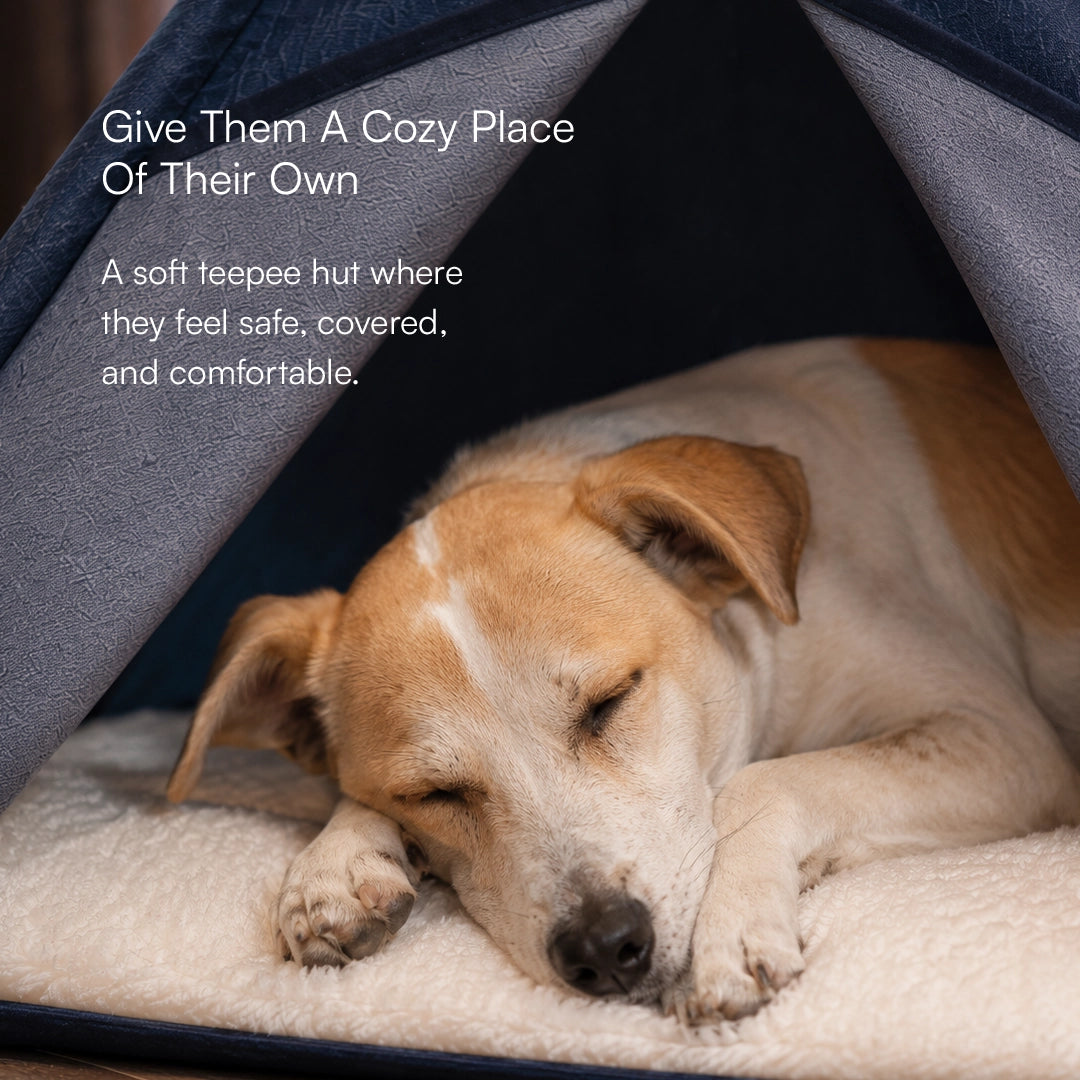 Indigo Tent House | Foldable Teepee Comfort Hut for Pets