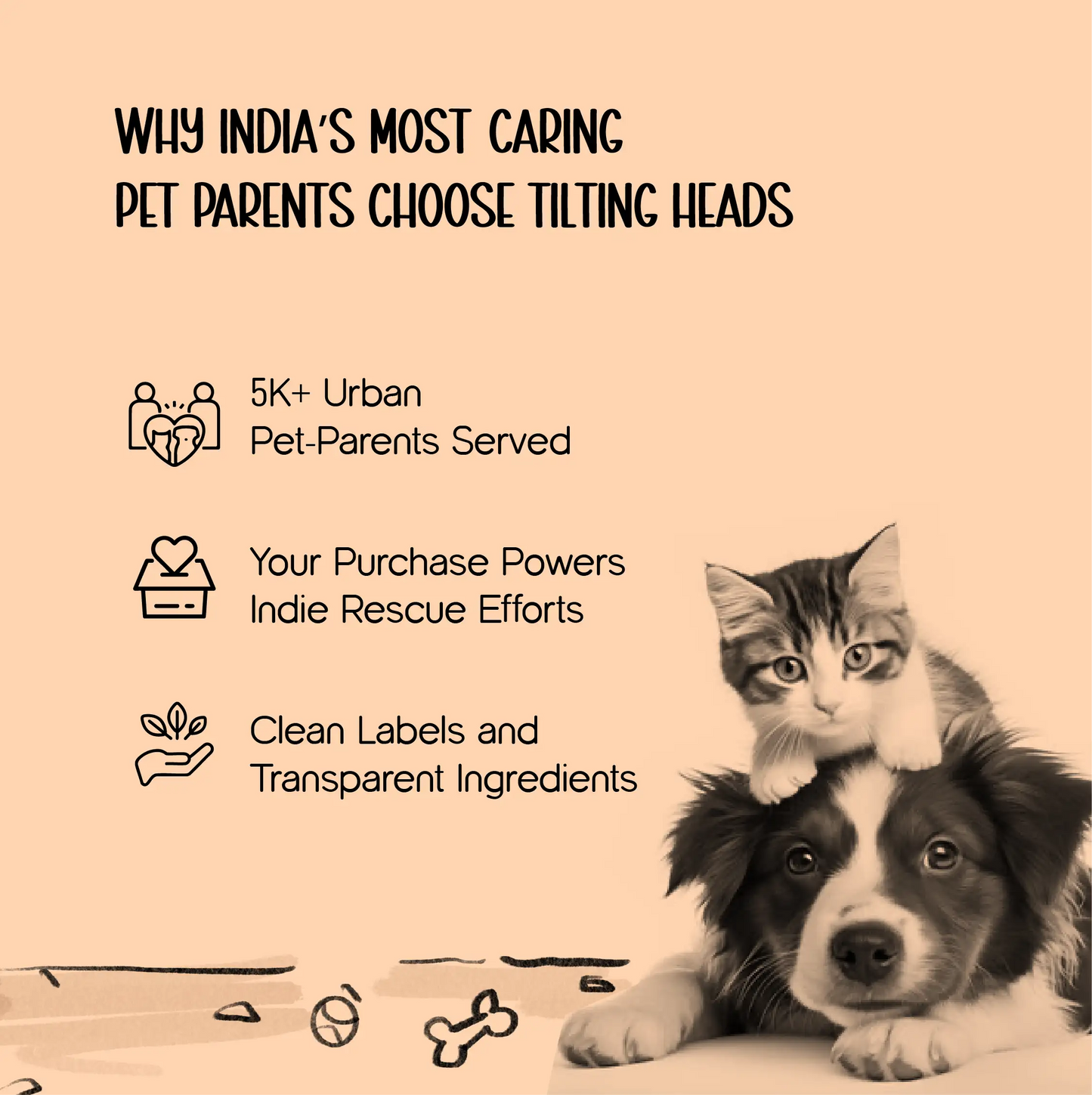 On-the-Go Hygiene Pack – Travel Grooming Kit for Dogs
