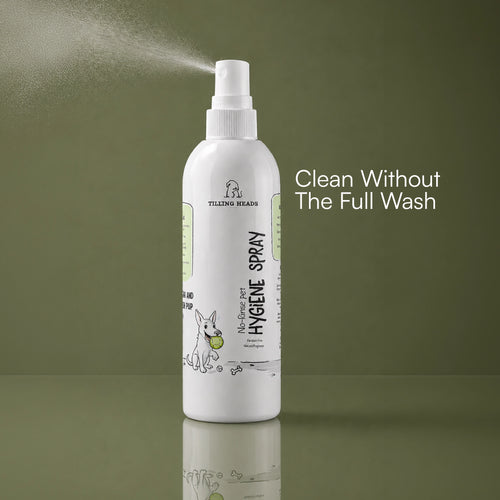 No-rinse pet hygiene spray bottle with fine mist trigger, white bottle and cap
