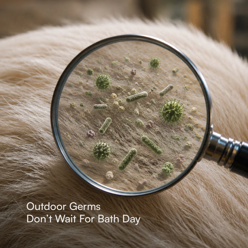 Pet fur with magnified germ particles illustration, showing hygiene coverage