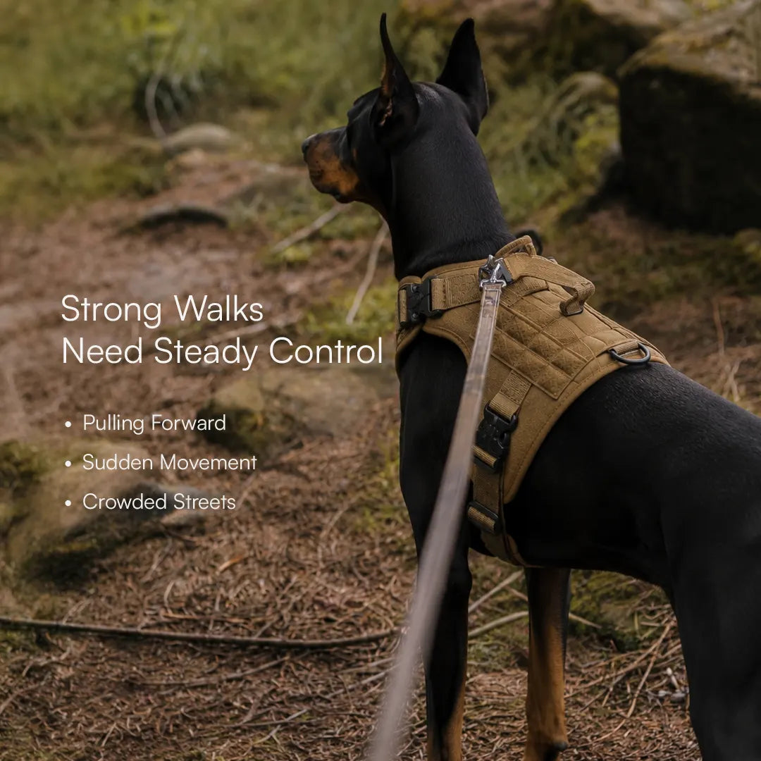 K9 Harness | Controlled Grip | Tactical Gear For Dogs