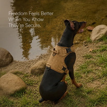 K9 Harness | Controlled Grip | Tactical Gear For Dogs