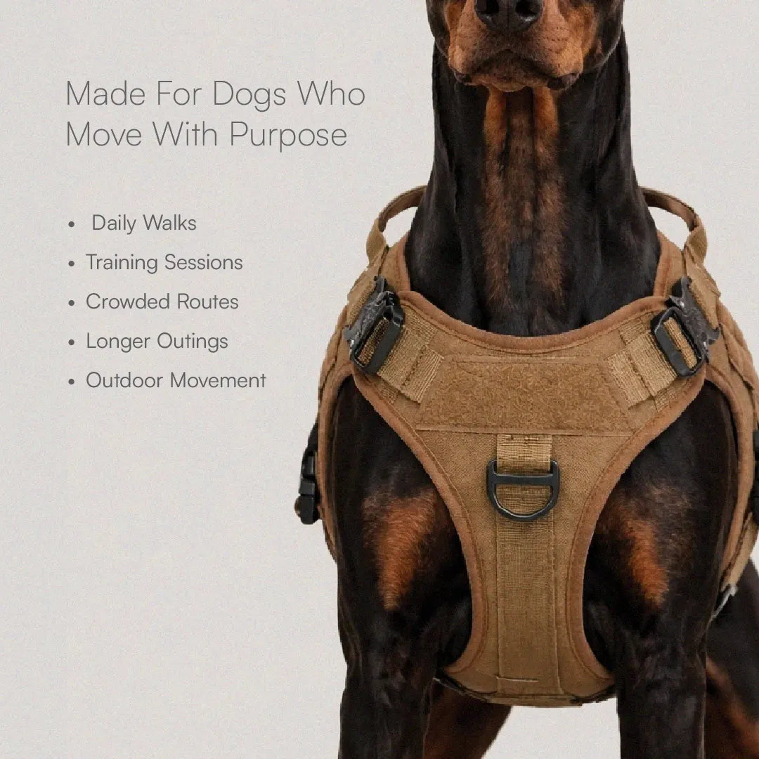 K9 Harness | Controlled Grip | Tactical Gear For Dogs