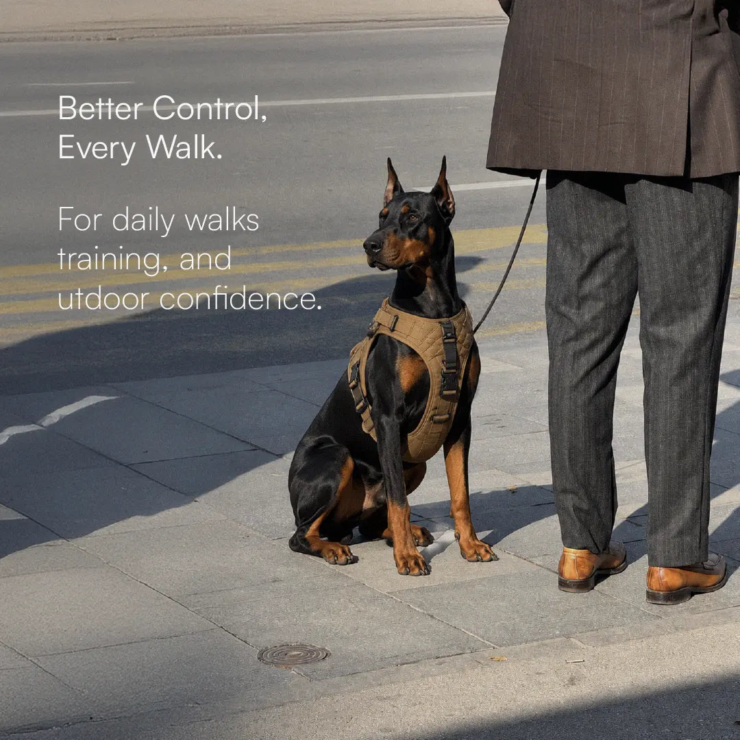 K9 Harness | Controlled Grip | Tactical Gear For Dogs