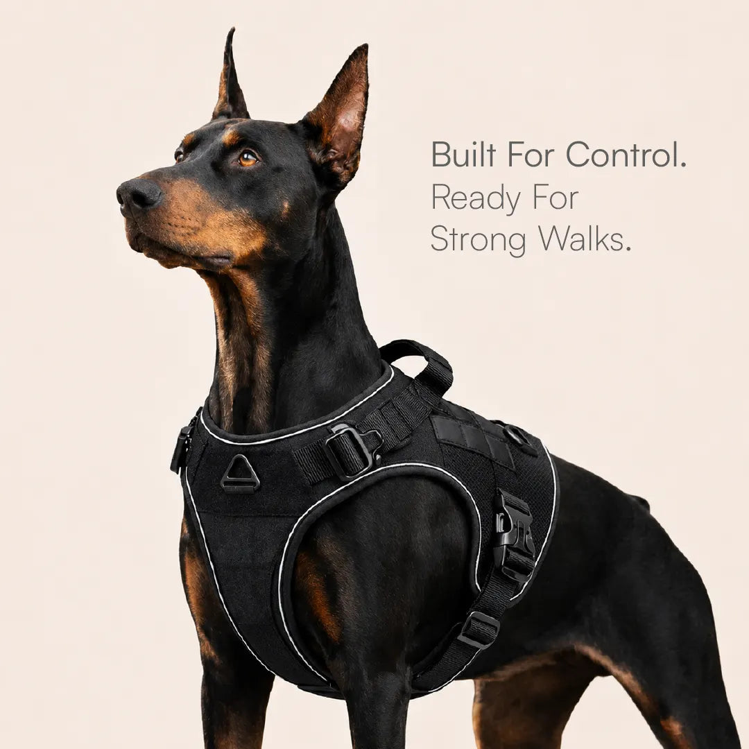 K9 Harness | Controlled Grip | Tactical Gear For Dogs