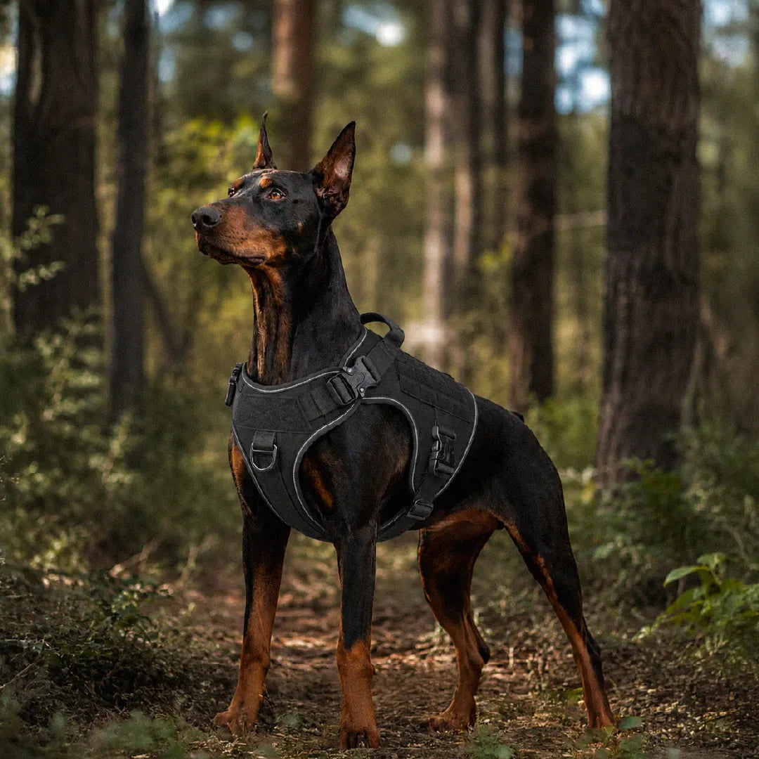 K9 Harness | Controlled Grip | Tactical Gear For Dogs