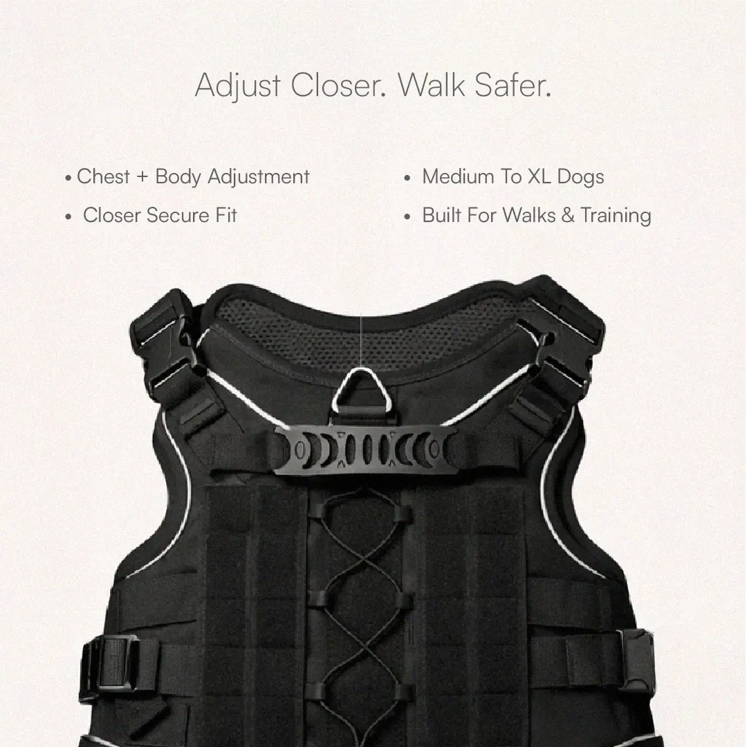 K9 Harness | Controlled Grip | Tactical Gear For Dogs