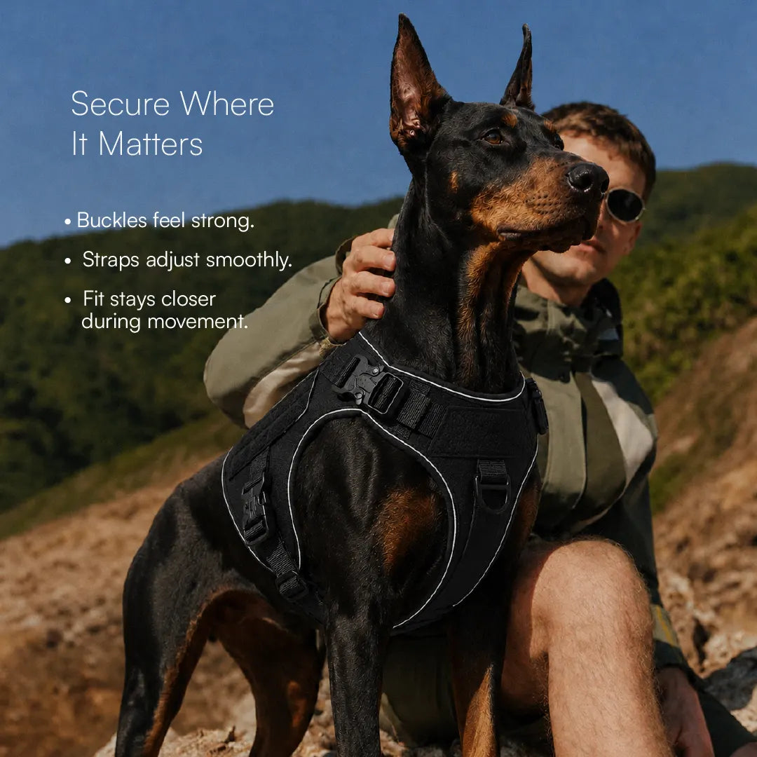 K9 Harness | Controlled Grip | Tactical Gear For Dogs