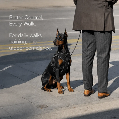 K9 Harness | Controlled Grip | Tactical Gear For Dogs