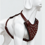 Kingsguard Leather Harness