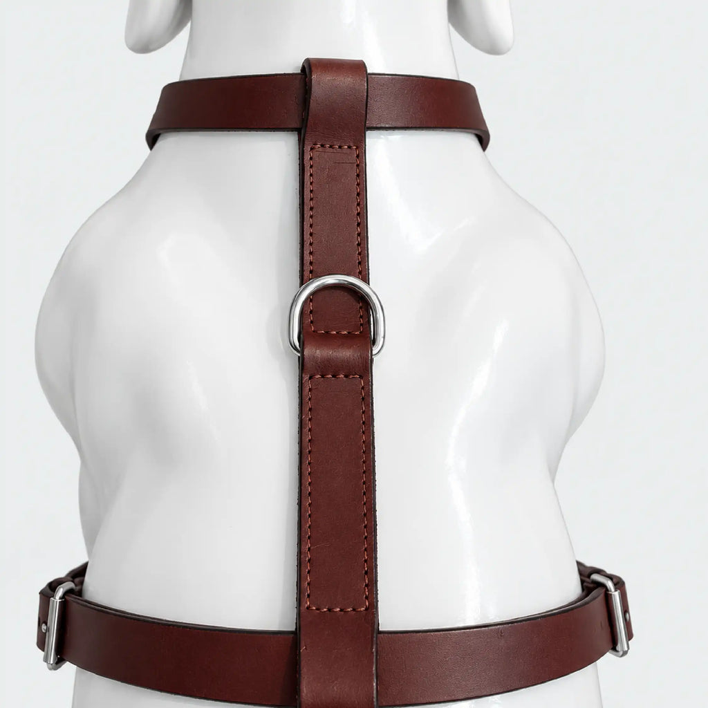 Kingsguard Leather Harness