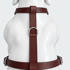 Kingsguard Leather Harness