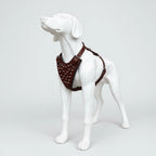 Kingsguard Leather Harness