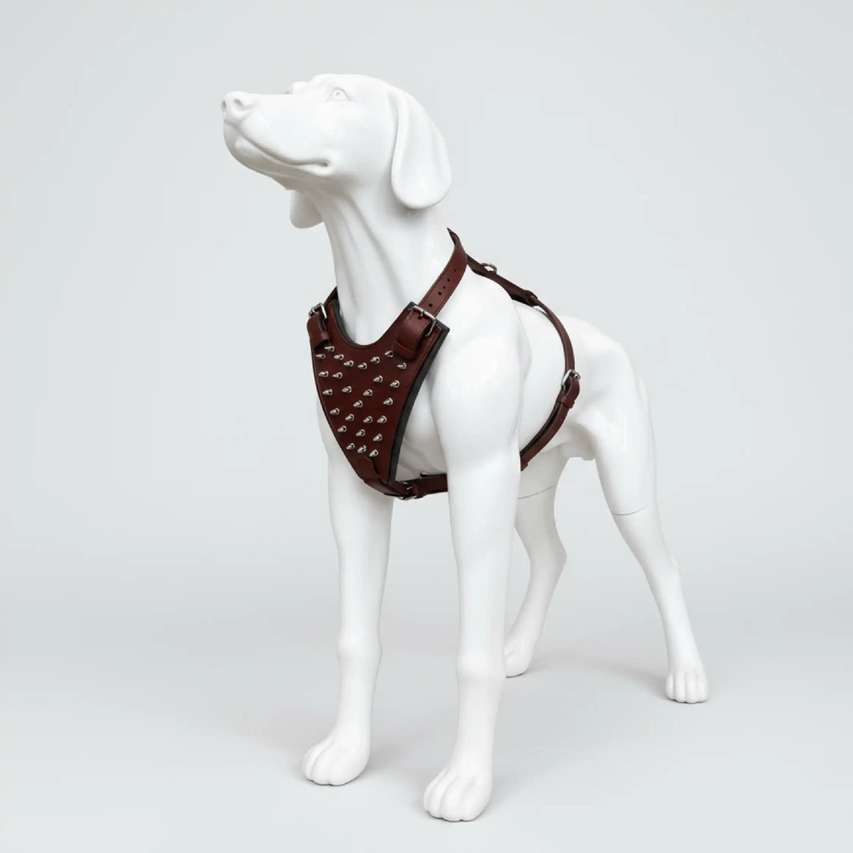 Kingsguard Leather Harness