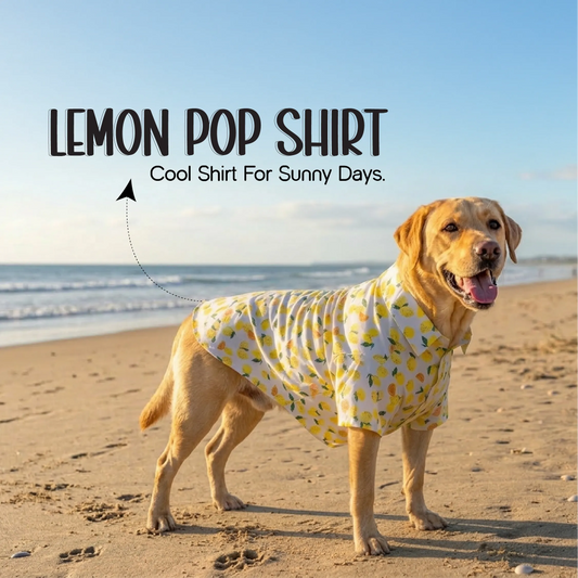 Lemon Pop Shirt – Stylish Cotton Summer Shirt for Pets