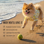 Lemon Pop Shirt – Stylish Cotton Summer Shirt for Pets