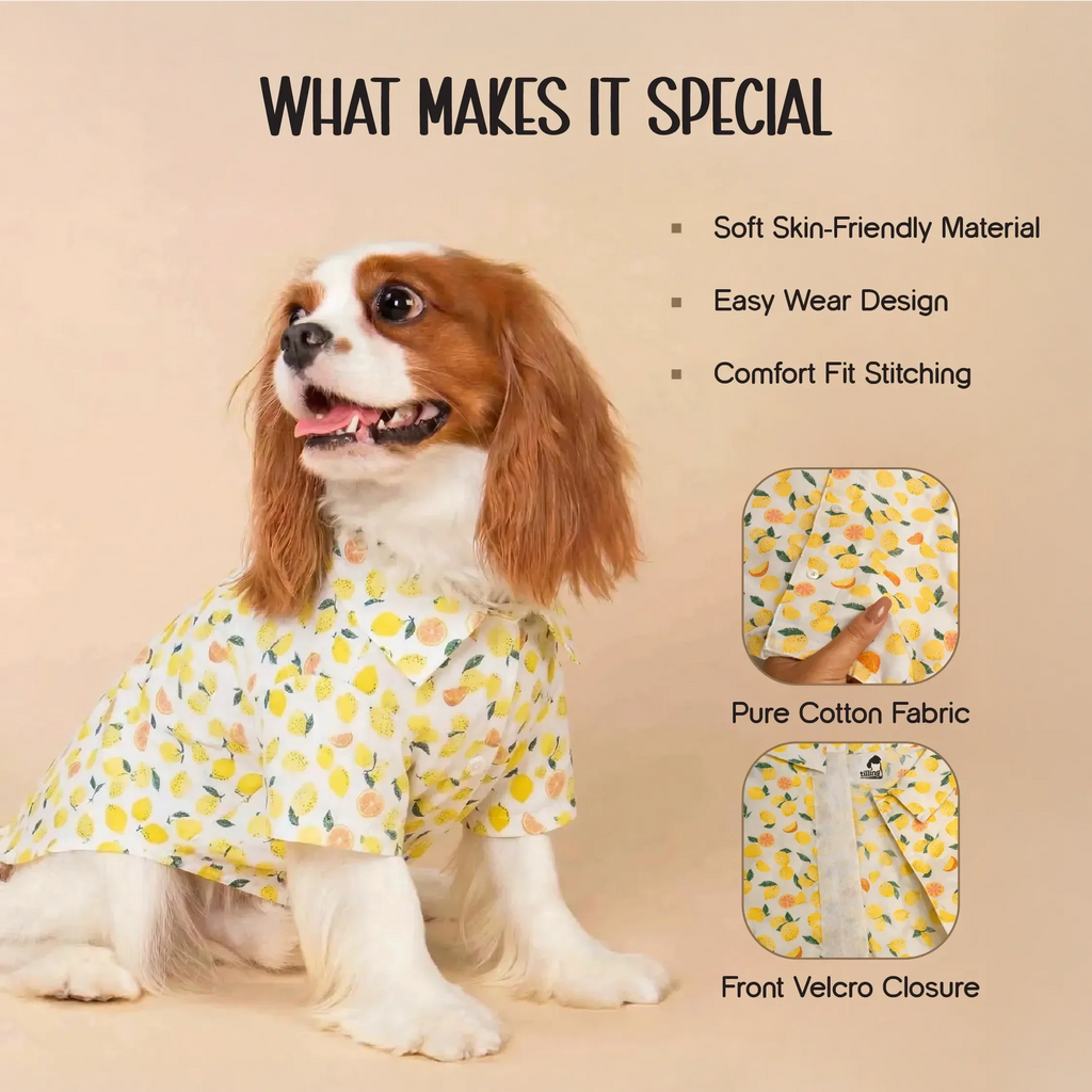 Lemon Pop Shirt – Stylish Cotton Summer Shirt for Pets