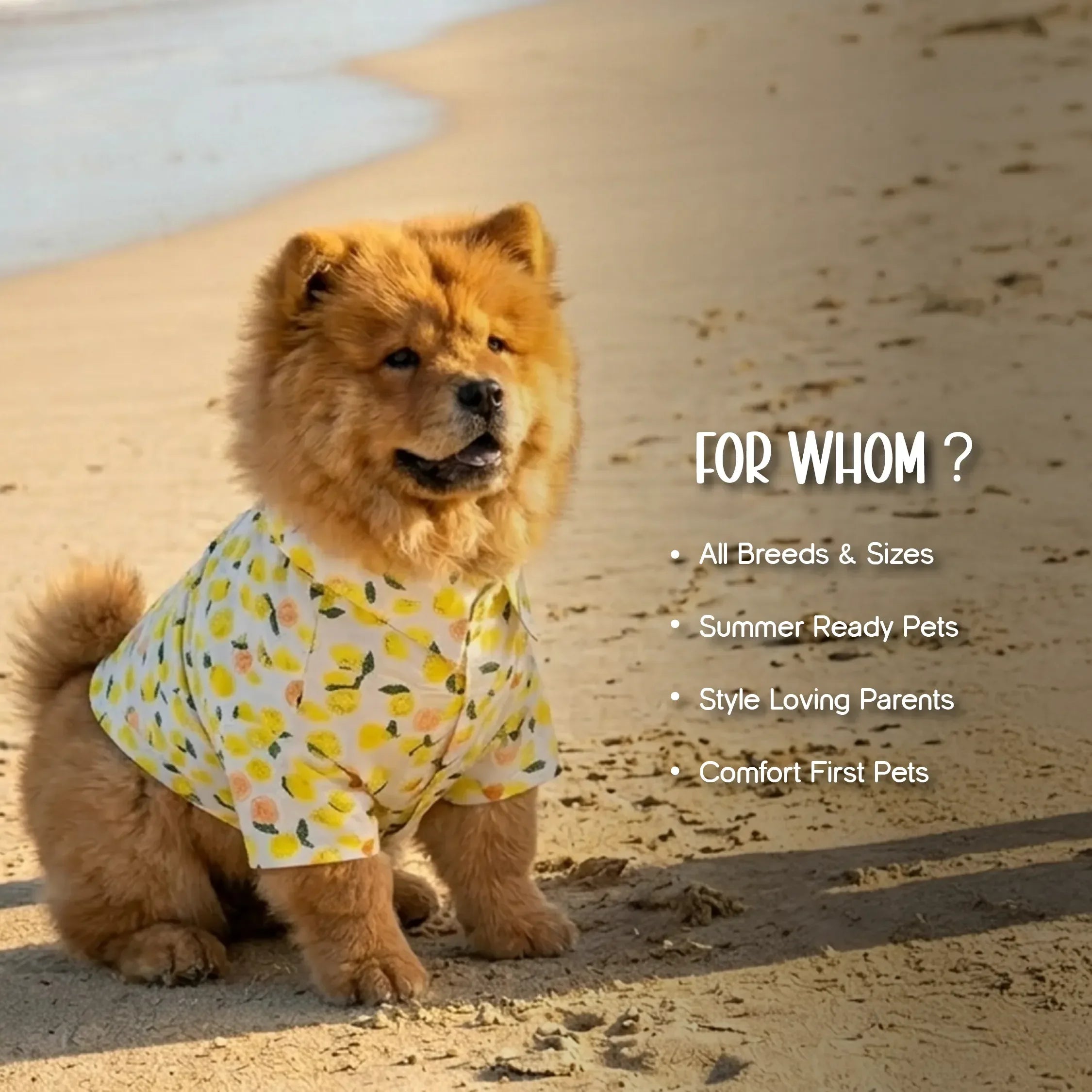 Lemon Pop Shirt – Stylish Cotton Summer Shirt for Pets