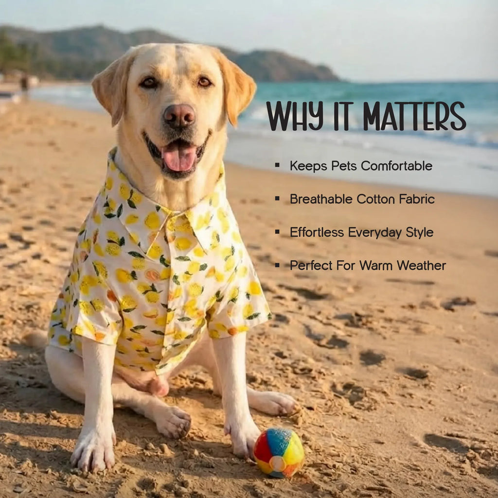Lemon Pop Shirt – Stylish Cotton Summer Shirt for Pets