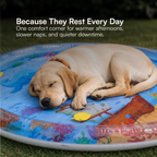 LumenPool Bed – Cooling Water Bed for Dogs & Cats with Floating Toys | Foldable | Stress-Relieving