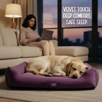 MajestiBed – Velvet Comfort for Peaceful Pet Sleep - Tilting Heads