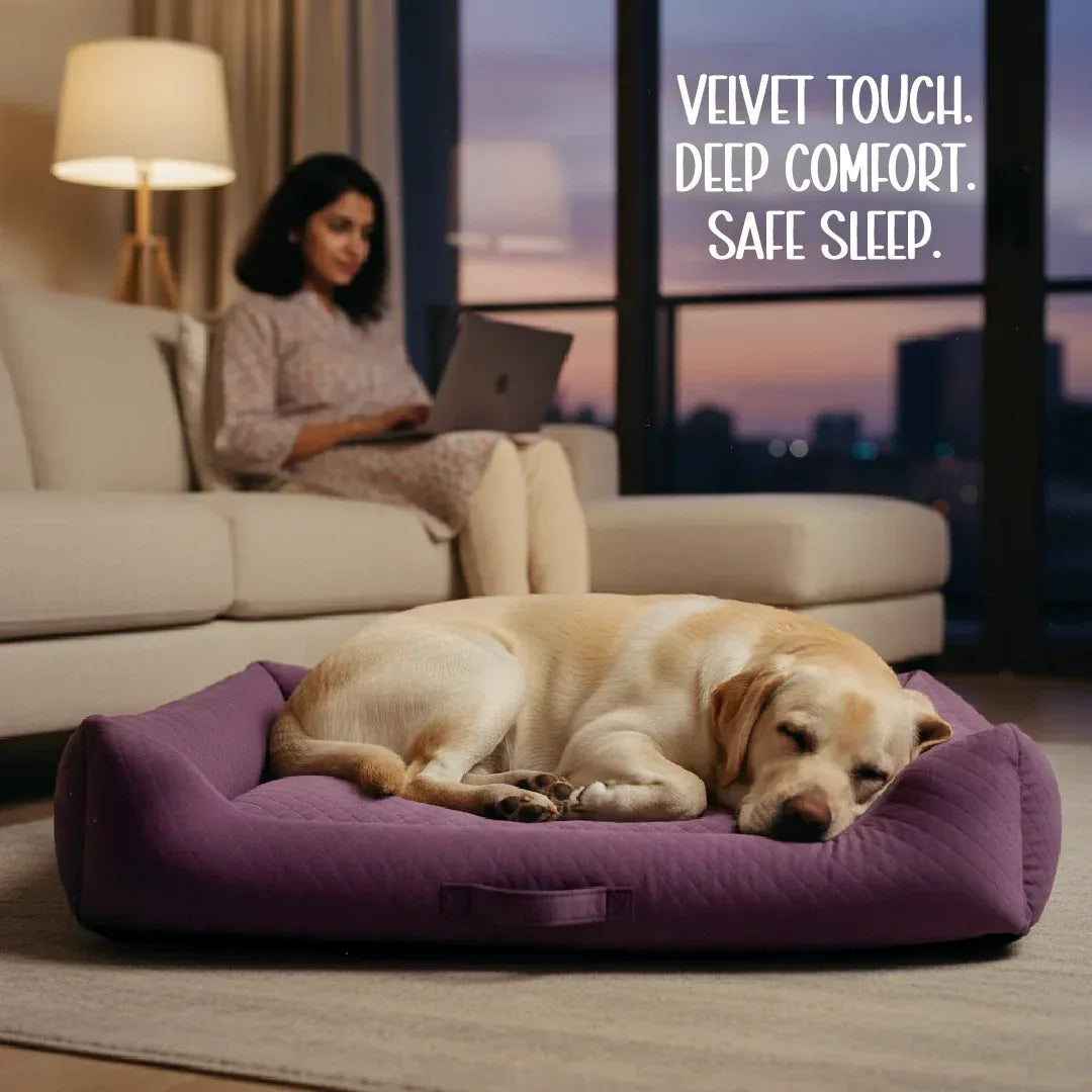 MajestiBed – Velvet Comfort for Peaceful Pet Sleep - Tilting Heads