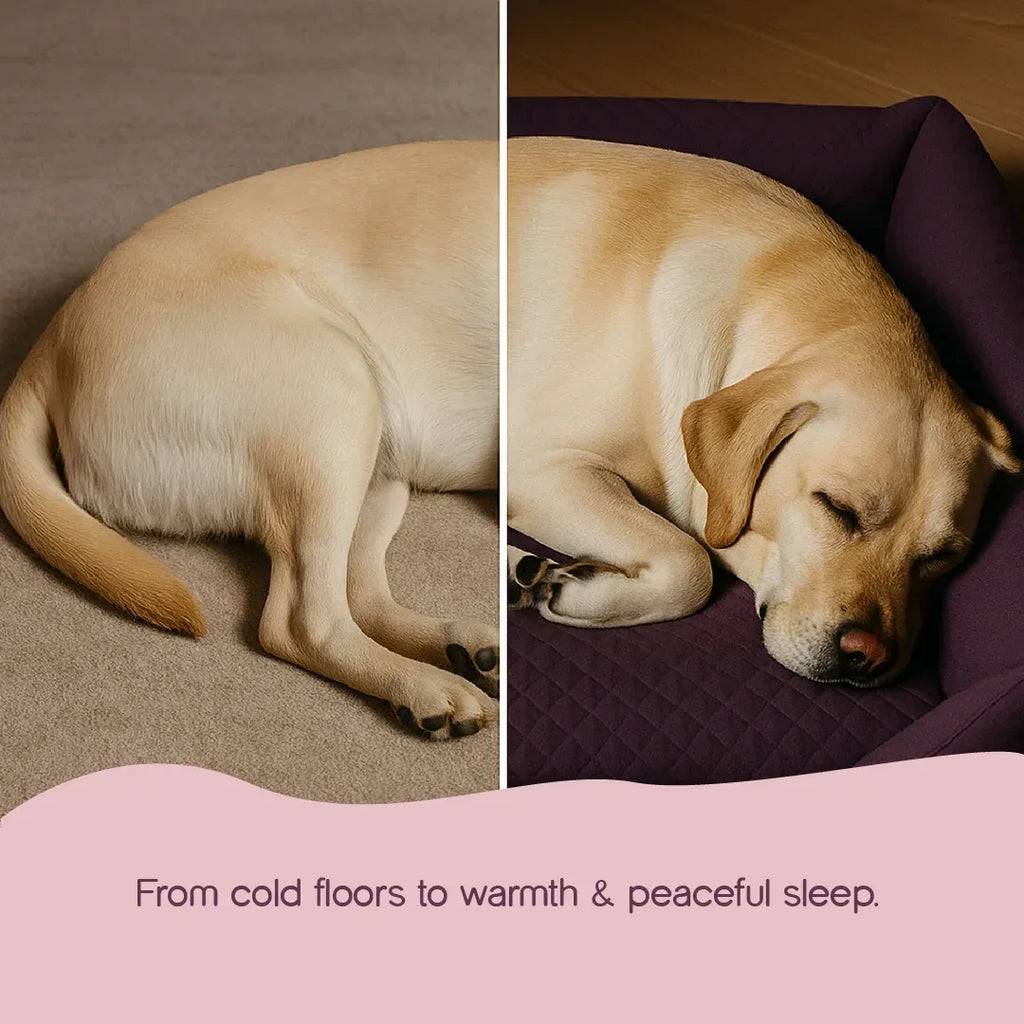 MajestiBed – Velvet Comfort for Peaceful Pet Sleep - Tilting Heads