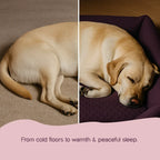 MajestiBed – Velvet Comfort for Peaceful Pet Sleep - Tilting Heads