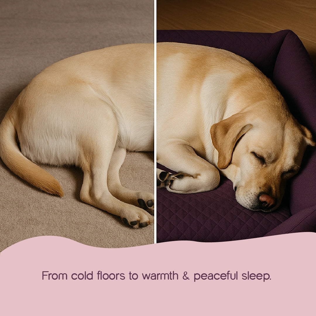 MajestiBed – Velvet Comfort for Peaceful Pet Sleep