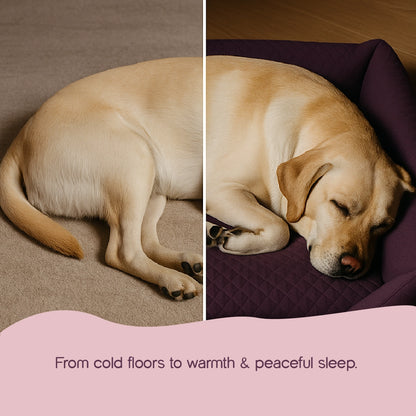 MajestiBed – Velvet Comfort for Peaceful Pet Sleep