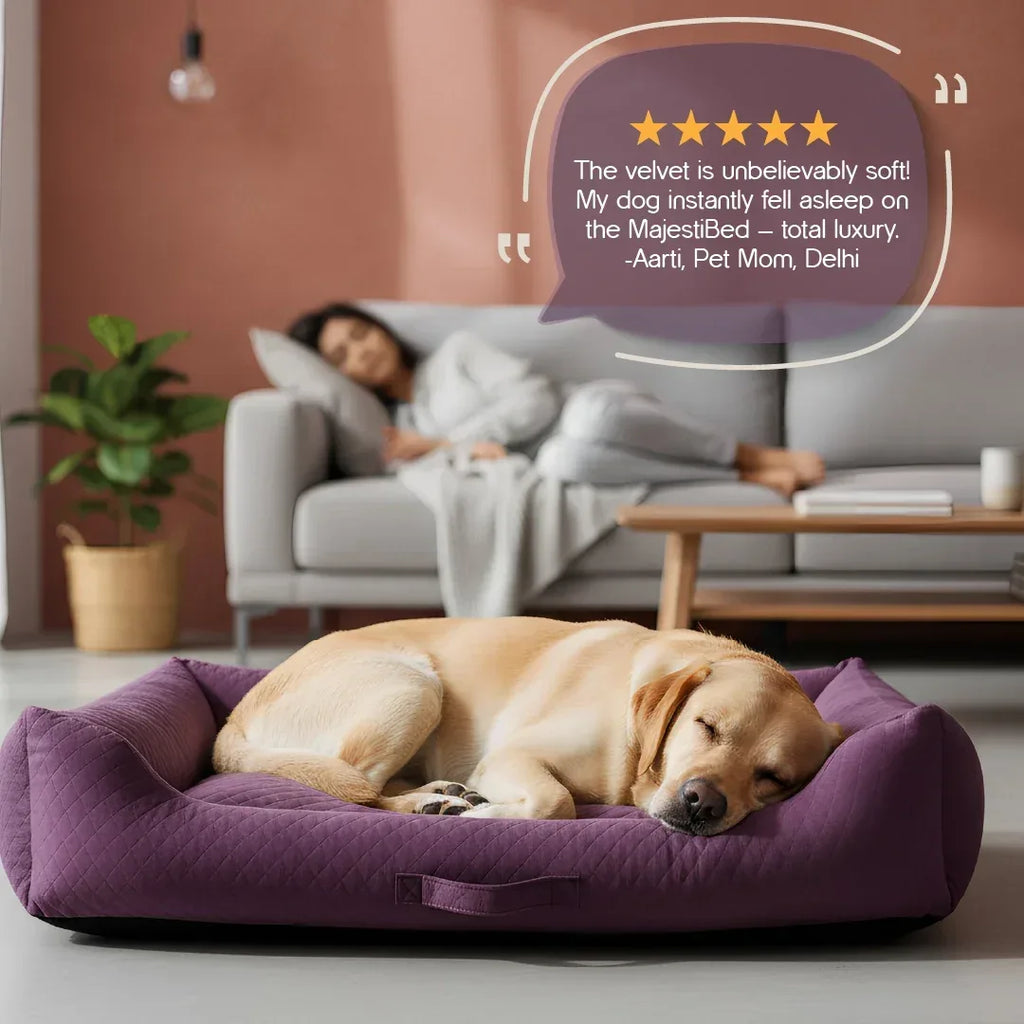 MajestiBed – Velvet Comfort for Peaceful Pet Sleep - Tilting Heads