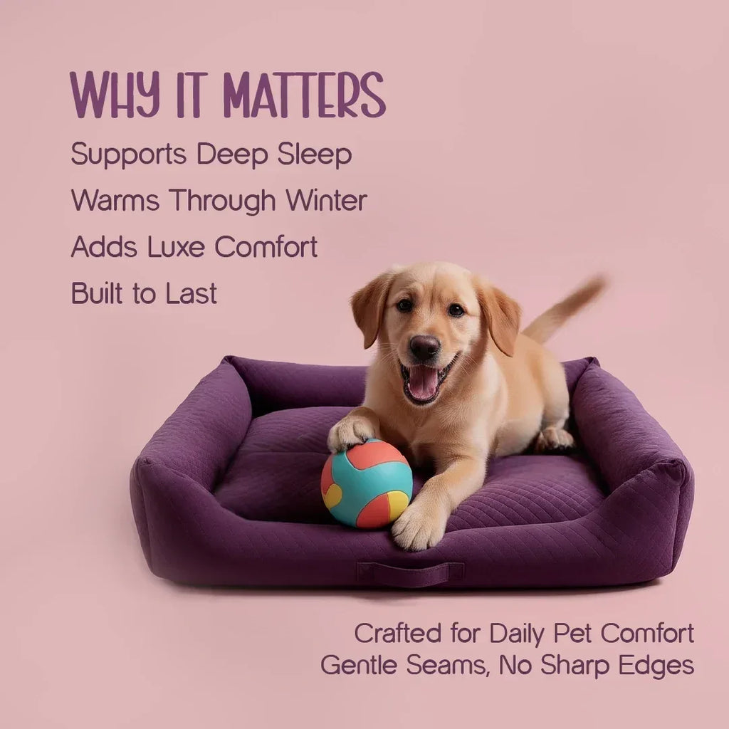 MajestiBed – Velvet Comfort for Peaceful Pet Sleep - Tilting Heads