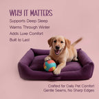 MajestiBed – Velvet Comfort for Peaceful Pet Sleep - Tilting Heads