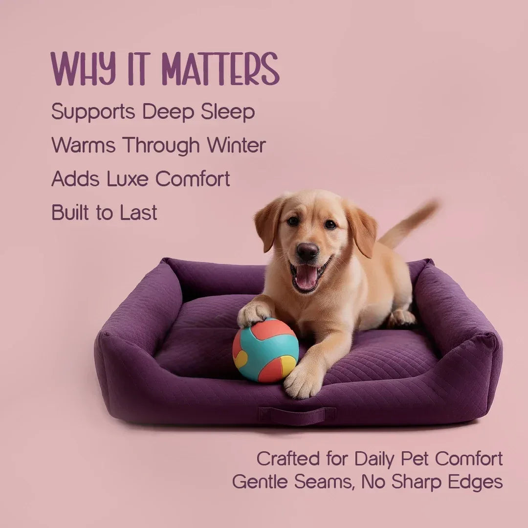 MajestiBed – Velvet Comfort for Peaceful Pet Sleep - Tilting Heads