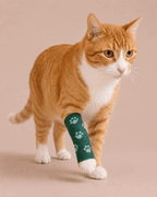 SafePlast Pet Bandage | Self-Adhesive First Aid Wrap For Dogs & Cat