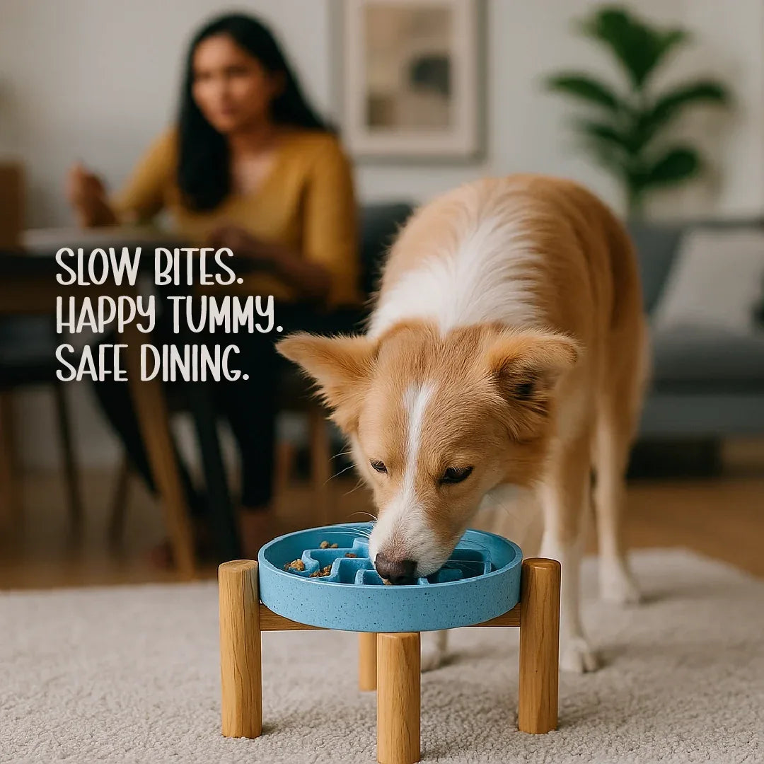 MangoMatte Feeder – Stylish Slow Feeder Bowl for Dogs - Tilting Heads