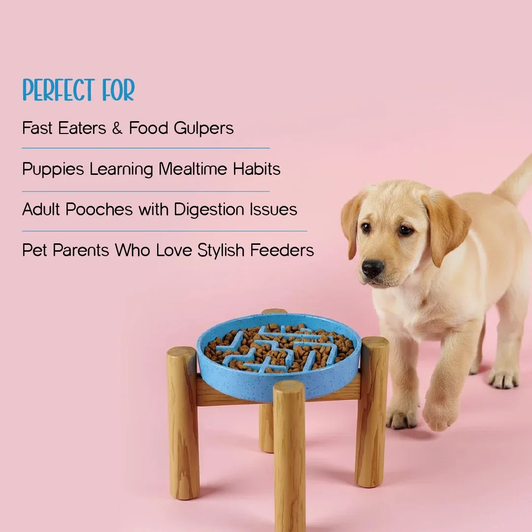 MangoMatte Feeder – Stylish Slow Feeder Bowl for Dogs - Tilting Heads